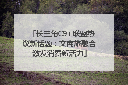 长三角C9+联盟热议新话题：文商旅融合激发消费新活力