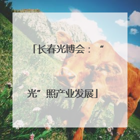 长春光博会：“光”照产业发展