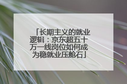 长期主义的就业逻辑：京东超五十万一线岗位如何成为稳就业压舱石