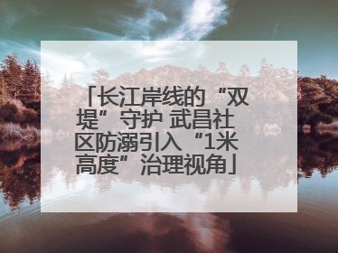 长江岸线的“双堤”守护 武昌社区防溺引入“1米高度”治理视角