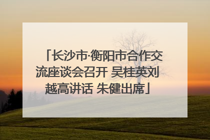 长沙市·衡阳市合作交流座谈会召开 吴桂英刘越高讲话 朱健出席