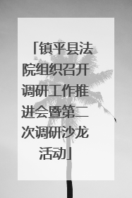 镇平县法院组织召开调研工作推进会暨第二次调研沙龙活动