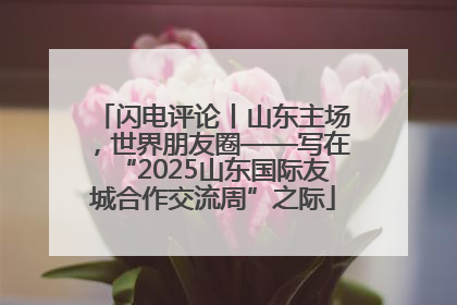 闪电评论丨山东主场，世界朋友圈——写在“2025山东国际友城合作交流周”之际