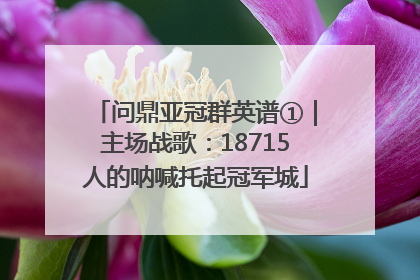 问鼎亚冠群英谱①｜主场战歌：18715人的呐喊托起冠军城