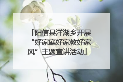 阳信县洋湖乡开展“好家庭好家教好家风”主题宣讲活动