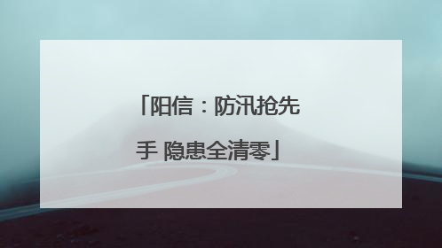 阳信：防汛抢先手 隐患全清零