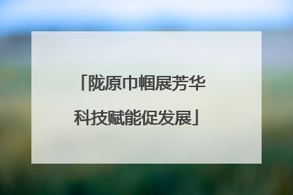 陇原巾帼展芳华 科技赋能促发展