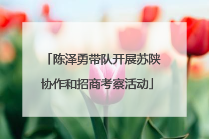 陈泽勇带队开展苏陕协作和招商考察活动