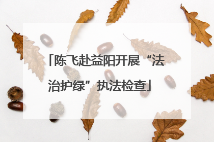 陈飞赴益阳开展“法治护绿”执法检查