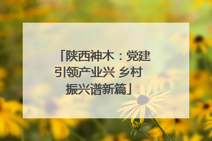 陕西神木：党建引领产业兴 乡村振兴谱新篇