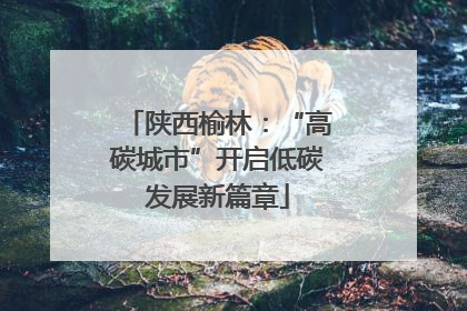 陕西榆林：“高碳城市”开启低碳发展新篇章