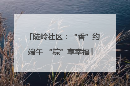 陡岭社区：“香”约端午 “粽”享幸福