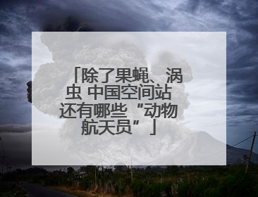 除了果蝇、涡虫 中国空间站还有哪些“动物航天员”