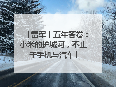 雷军十五年答卷：小米的护城河，不止于手机与汽车