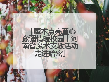 魔术点亮童心 豫疆情暖校园丨河南省魔术支教活动走进哈密