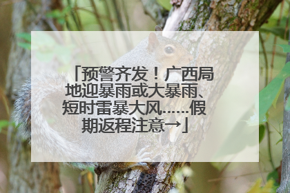 预警齐发！广西局地迎暴雨或大暴雨、短时雷暴大风……假期返程注意→