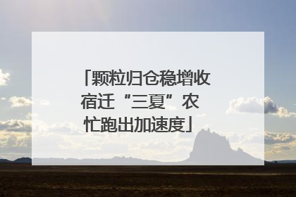 颗粒归仓稳增收 宿迁“三夏”农忙跑出加速度