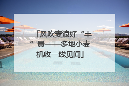 风吹麦浪好“丰”景——多地小麦机收一线见闻