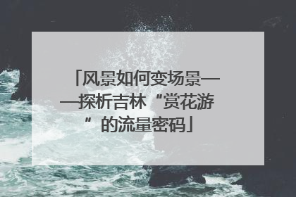 风景如何变场景——探析吉林“赏花游”的流量密码