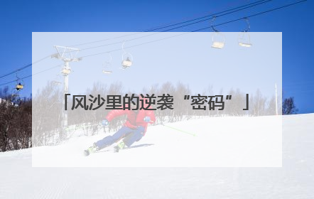 风沙里的逆袭“密码”