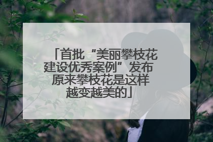 首批“美丽攀枝花建设优秀案例”发布 原来攀枝花是这样越变越美的