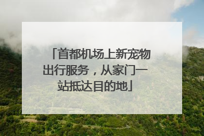 首都机场上新宠物出行服务，从家门一站抵达目的地