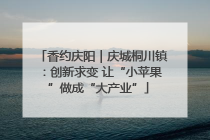香约庆阳｜庆城桐川镇：创新求变 让“小苹果”做成“大产业”
