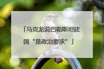 马克龙说巴勒斯坦建国“是政治要求”