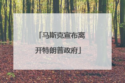 马斯克宣布离开特朗普政府