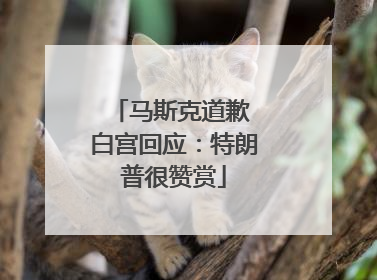 马斯克道歉 白宫回应：特朗普很赞赏