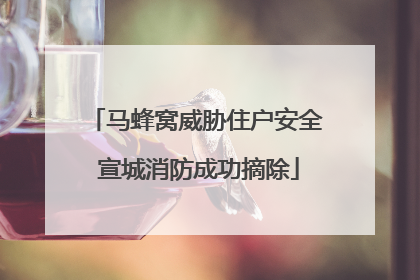 马蜂窝威胁住户安全 宣城消防成功摘除