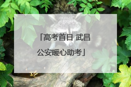 高考首日 武昌公安暖心助考