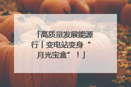 高质量发展能源行丨变电站变身“月光宝盒”！