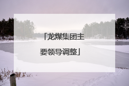 龙煤集团主要领导调整