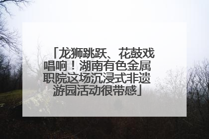 龙狮跳跃、花鼓戏唱响！湖南有色金属职院这场沉浸式非遗游园活动很带感