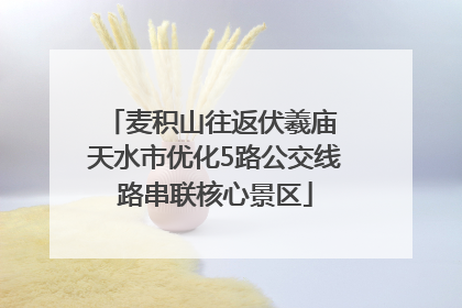 麦积山往返伏羲庙 天水市优化5路公交线路串联核心景区