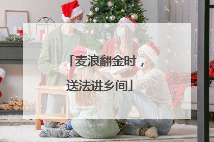 麦浪翻金时，送法进乡间
