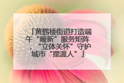 黄鹤楼街道打造端午“暖新”服务矩阵，“立体关怀”守护城市“摆渡人”