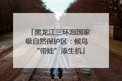 黑龙江三环泡国家级自然保护区：候鸟“带娃”添生机