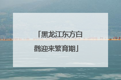 黑龙江东方白鹳迎来繁育期