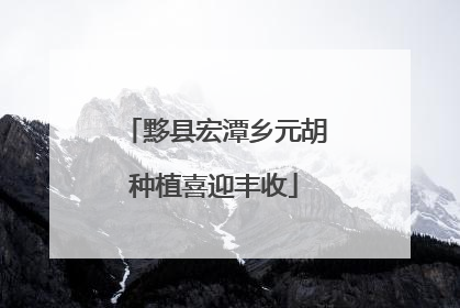 黟县宏潭乡元胡种植喜迎丰收