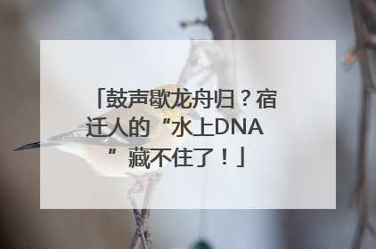 鼓声歇龙舟归？宿迁人的“水上DNA”藏不住了！