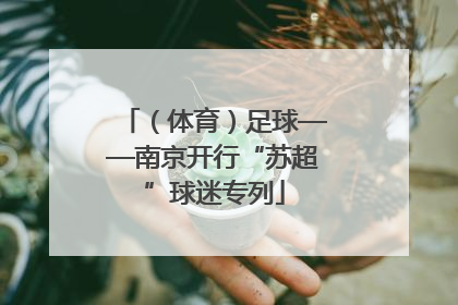 （体育）足球——南京开行“苏超”球迷专列
