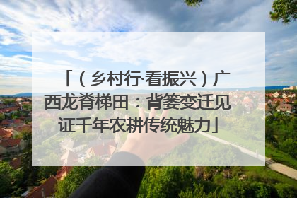 （乡村行·看振兴）广西龙脊梯田：背篓变迁见证千年农耕传统魅力