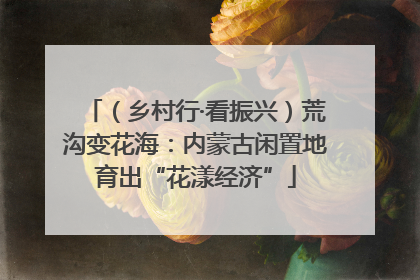 （乡村行·看振兴）荒沟变花海：内蒙古闲置地育出“花漾经济”