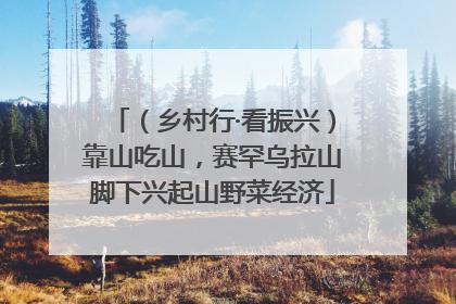 （乡村行·看振兴）靠山吃山，赛罕乌拉山脚下兴起山野菜经济