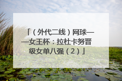 （外代二线）网球——女王杯：拉杜卡努晋级女单八强（2）