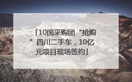 10国采购团“抢购”四川二手车，10亿元项目现场签约