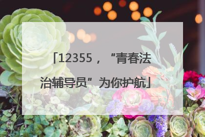 12355，“青春法治辅导员”为你护航