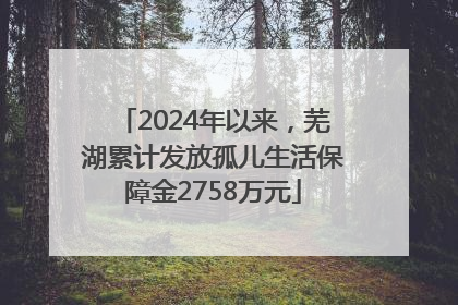 2024年以来，芜湖累计发放孤儿生活保障金2758万元